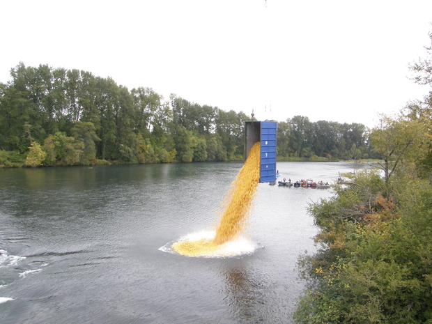 Duck Race - Photo 2